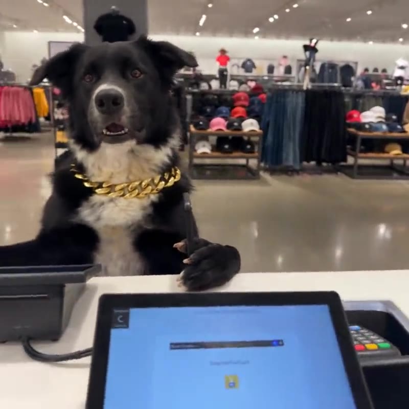 “the card declined”